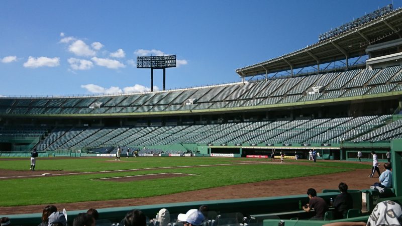 野球を楽しむ会